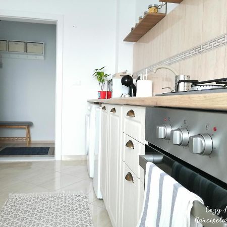 Cozy Apartment Narciselor Suceava Ipotesti  Exteriér fotografie