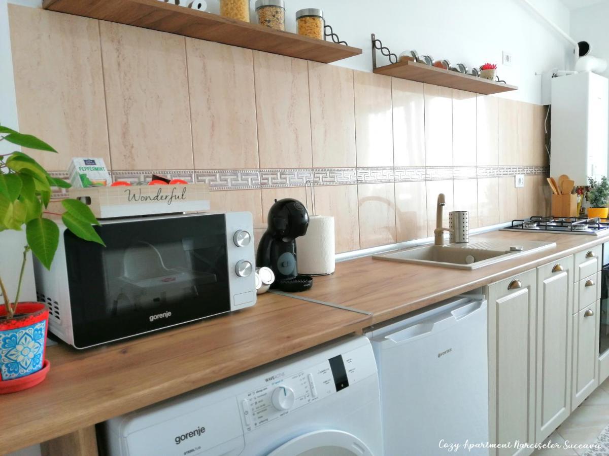 Cozy Apartment Narciselor Suceava Ipotesti  Exteriér fotografie