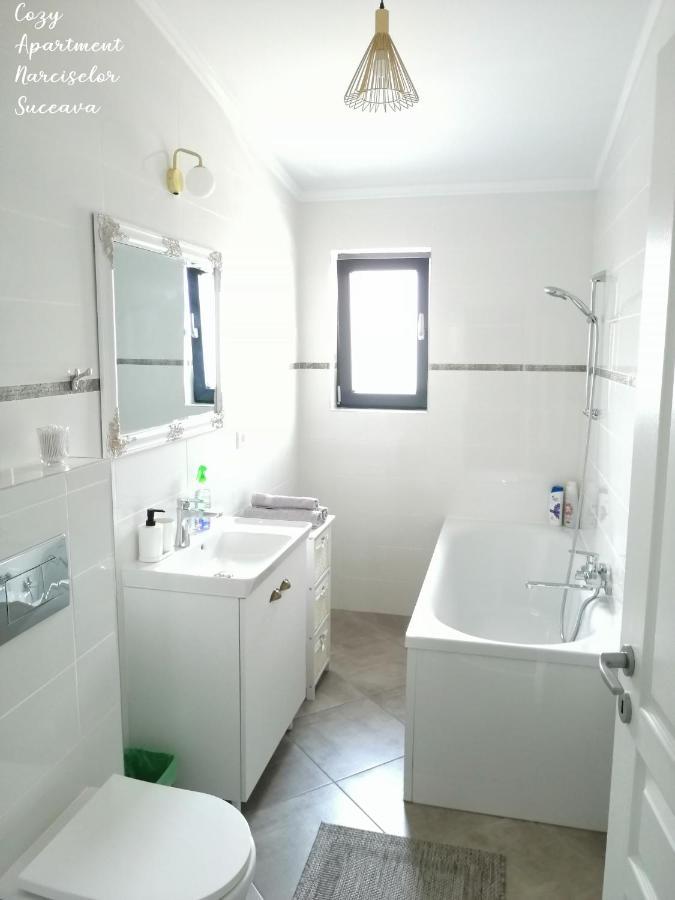 Cozy Apartment Narciselor Suceava Ipotesti  Exteriér fotografie