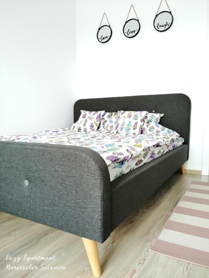 Cozy Apartment Narciselor Suceava Ipotesti  Exteriér fotografie
