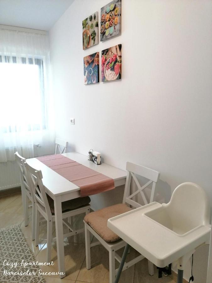 Cozy Apartment Narciselor Suceava Ipotesti  Exteriér fotografie