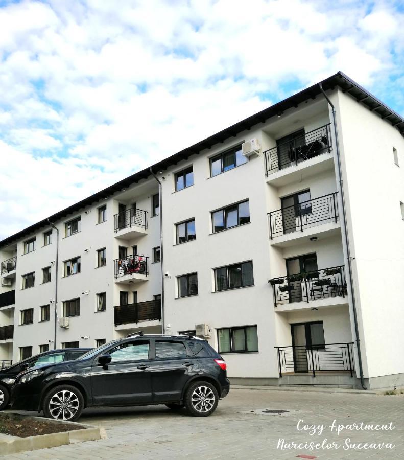 Cozy Apartment Narciselor Suceava Ipotesti  Exteriér fotografie